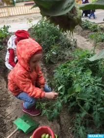 Екскурсія на город землі