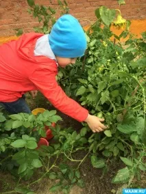Екскурсія на город город»