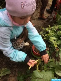 Екскурсія на город землі