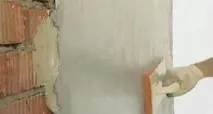 фасадна бръмбар