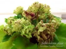 Фіалки на підвіконні, Allegro Pink Pistachio (J фіалки