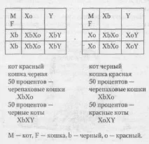 украйна алианс