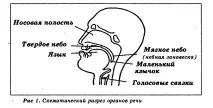 Французька - Cours de Français французька