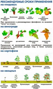 водою