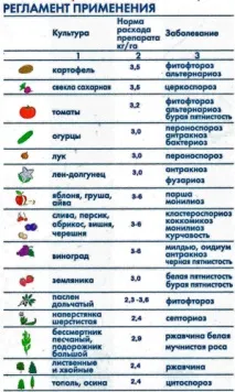 наша