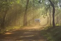 цетаке