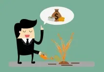 Ідея для бізнесу вирощування ячменю, Статті на ЗерноЦентр ідея