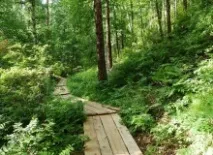 Головна-Національний парк Алханай парк