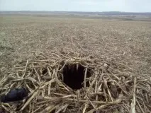 Гусяче полювання полювання