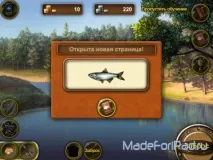 Гра Рибне місце для iPad, Все для iPad рибне