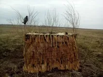 Гусяче полювання гусяче