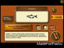 Гра Рибне місце для iPad, Все для iPad рибне