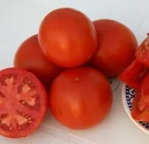семена домати семена
