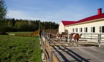 селска ферма селска ферма