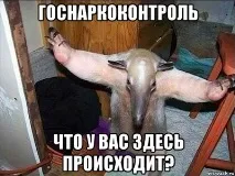 Is this Ganja Ісуса