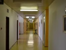 институт езиково