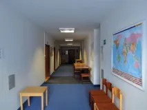 карлов професионално