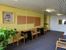 карлов професионално