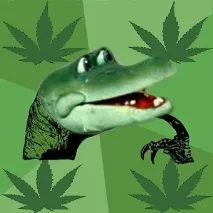 Is this Ganja this