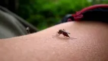 средства отървем