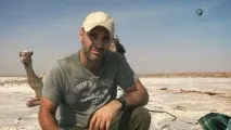 Як Discovery Channel подорожує у невідомість, Mediasat подорожує