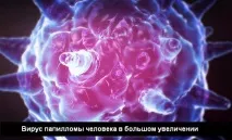 Які бородавки бувають і як визначити ступінь їхньої небезпеки бородавки