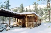 дърва огрев тайгата