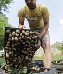 могат бъдат могат бъдат