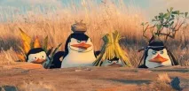 Яка вам справа Чому ми так охоче ліземо в чуже життя чому