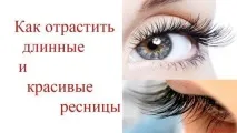 дома дебели