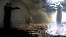 започнаха тъкат започнаха тъкат