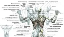 научите нулата