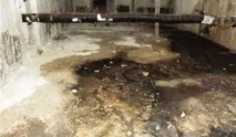 Який бізнес можна організувати в підвальному приміщенні - Самбуд - будівництво, дизайн, бізнес