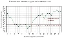 Як визначається овуляція ознаки, симптоми, відчуття, Феломена визначається