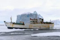 клечка страховита