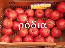 Як називаються фрукти по-грецьки фрукти