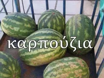 Як називаються фрукти по-грецьки по-грецьки