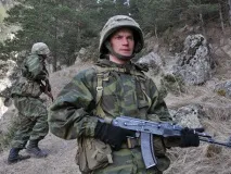 тайни крадливи