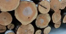 вана варели барел