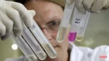Як розпізнати свинячий грип основна відмінність від звичайного грипу, симптоми і як не «підчепити» вірус грип
