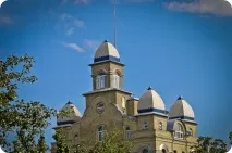 Як відбувається святковий обід у київському храмі Крішни обід