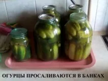 Як посолити смачні огірки на зиму. посолити