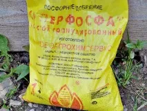 Як проводити обробку землі восени, підготовка ґрунту до зими землі