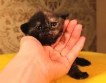 храним храним
