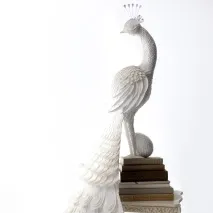 popular хартия