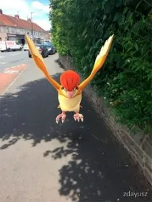 Як тренувати Покемонів - Pokemon GO гайд Покемона