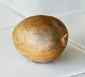 вашата отглеждаме