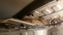 крилото подмяна
