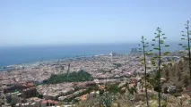 Канарските острови канарски