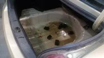 вода kasko